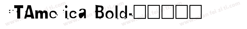 CTAmerica Bold字体转换